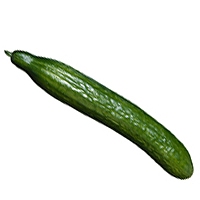 Concombre