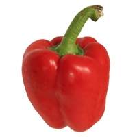 Poivron rouge
