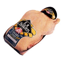 Canard Fermier de Challans