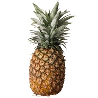 Ananas