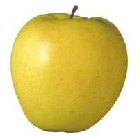 Pommes golden 75 / 80