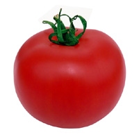 Tomates par kg